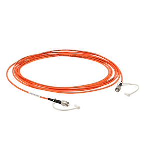 M133L02 - Ø200 µm, 0.22 NA, High OH, TECS Double-Clad, FC/PC-FC/PC Fiber Patch Cable, 2 m